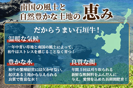 TA-4 石垣牛リブロースすきしゃぶ肉400g（担たん亭）