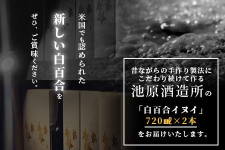 IK-3 池原酒造 琉球泡盛 白百合イヌイ菌仕込み２本セット