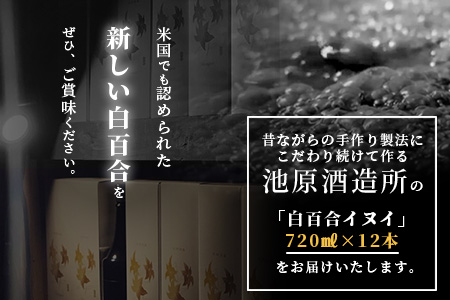IK-8 池原酒造 白百合イヌイ 720ml 44度 12本セット