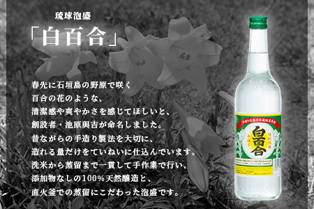 IK-9 池原酒造 白百合 600ml  30度 12本セット