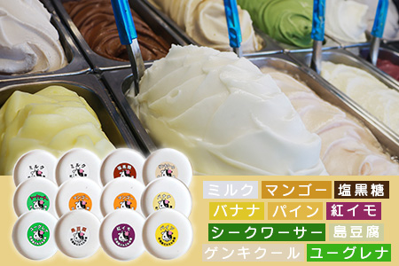 石垣島ミルミル本舗 南の島から島素材ジェラート！【沖縄セット 12個入り】（1個 132ml）　Z-6