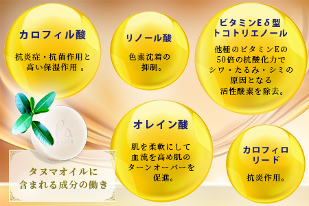 fariaリファインメントソープ&クリームセット AU-3-1