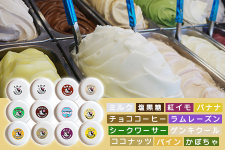 石垣島ミルミル本舗 南の島から島素材ジェラート！【定番人気セット 12個入り】（1個 132ml）　Z-7