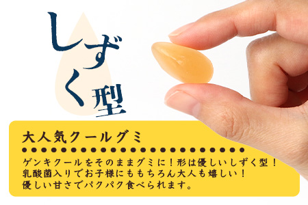 【島外不出のゲンキくんグッズが返礼品に!!】八重山ご当地キャラクターゲンキくん クールグミ 12袋【八重山ゲンキ乳業 お土産 観光 ゲンキくん ゲンキクール サイダー 乳酸菌入り】OP-3