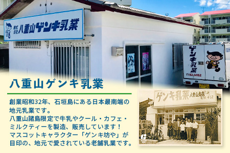 【ふるさと納税限定】ゲンキ牛乳バリューセット【八重山ゲンキ乳業】【日本最南端の乳業】【伊盛牧場産 生乳100％使用】GN-003