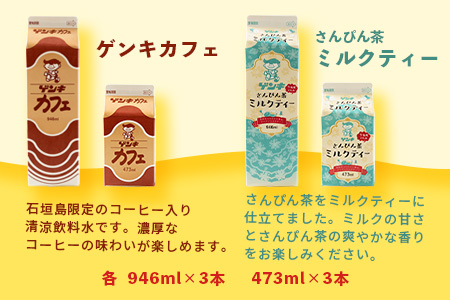 【ふるさと納税限定】八重山ゲンキ乳業 全種バリューセット【八重山ゲンキ乳業】【ゲンキ牛乳】【石垣島のソウルドリンク ゲンキクール】【ゲンキカフェ】【さんぴん茶ミルクティー】GN-4-1