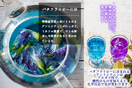 希少！採れたて新鮮！八重咲バタフライピーの生花（食用花、生ハーブ）特別栽培、栽培期間中農薬不使用 ３月～順次発送 OI-8