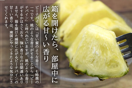 【先行受付】《2026年5月上旬～7月上旬順次発送予定》石垣島産パイナップル（ピーチパイン）3玉入 約2kg（1.7~2.2kg） 石垣島 農家直送 パインアップル  TK-10