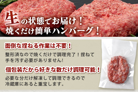 石垣島産　黒毛和牛 生ハンバーグ　120g x 10個 UN-2