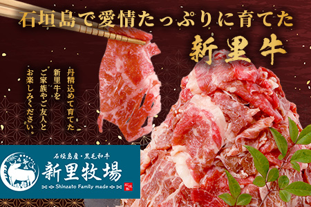 石垣島産 黒毛和牛 新里牛 多用途抜群！ 切落し (500g×1) 500g SZ-13