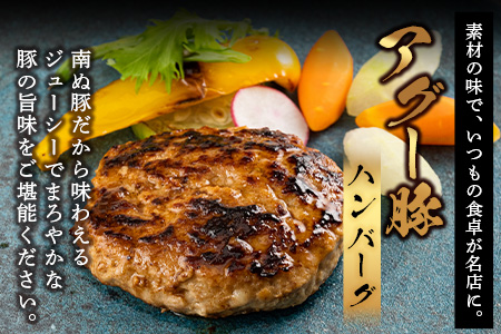 石垣島産 やえやまファームのアグ―豚（南ぬ豚）ハンバーグ10個セット E-8-1