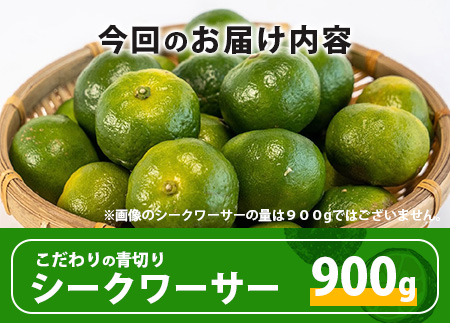 【先行予約】 ≪2026年8月以降順次発送≫こだわりの青切りシークワーサー 900g 約30～40個 【 産地直送 沖縄 石垣島 石垣 八重山 シークワーサー 柑橘 フルーツ くだもの 果物 】TF-007 900g 約30～40個