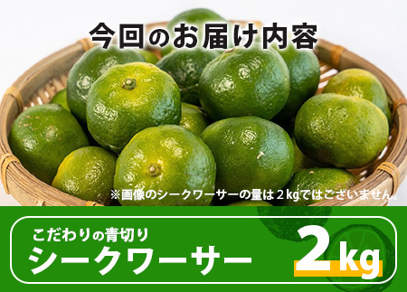 【先行予約】 ≪2026年8月以降順次発送≫こだわりの青切りシークワーサー 2kg 約60～80個 【 産地直送 沖縄 石垣島 石垣 八重山 シークワーサー 柑橘 フルーツ くだもの 果物 】TF-008 2kg 約60～80個