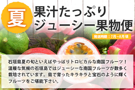 【4回/年定期配送 石垣島のタカラモノ便】 SH-3 春夏秋冬のお楽しみ(野菜 鮮魚 フルーツ 肉 牛肉 豚肉 加工 品 八重山そば かまぼこ マグロ 果物 パイン マンゴー 頒布会 セット 贈答 4ヵ月)