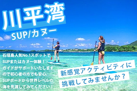 石垣島の自然を満喫！石垣島1日アクティビティ (利用券 1名様分) NS-2