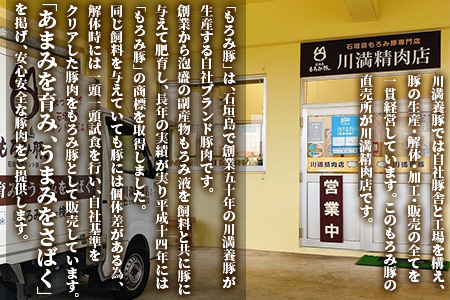 【石垣島ブランド豚】もろみ豚 特製 ハンバーグ 100g×8個【合計800g】【もろみで育てる自慢の豚肉】小分け 惣菜 AH-8-1