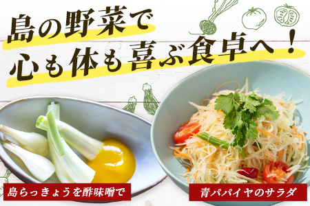 石垣島産 野菜 BOX 1箱 ≪定番・旬の野菜６~８種類≫ 野菜パワーをあなたに！！|野菜セット おまかせセット 旬 季節のお野菜 旬の野菜セット 詰め合わせ 島野菜 沖縄県 石垣市 石垣島 石垣 CK-1 石垣島産 野菜 BOX 1箱