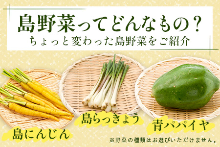 ▼【３回定期便】石垣島産 野菜 BOX ≪定番・旬の野菜 ６~８種類≫（1箱×3回）季節ごとに野菜パワーをあなたに！！｜野菜セット おまかせセット 旬 季節のお野菜 旬の野菜セット 詰め合わせ 定期便 ３回 定番野菜 島野菜 沖縄県 石垣市 石垣島 石垣 CK-2 【３回定期便】