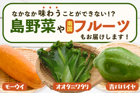 沖縄県 石垣島の野菜・フルーツBOX 1箱 ≪野菜4～5種類、フルーツ1~2種類≫ じょーとーまーさん(とても美味しい) 石垣島の野菜とフルーツの詰め合わせセットをお楽しみください！！CK-4 沖縄県 石垣島の野菜・フルーツBOX 1箱