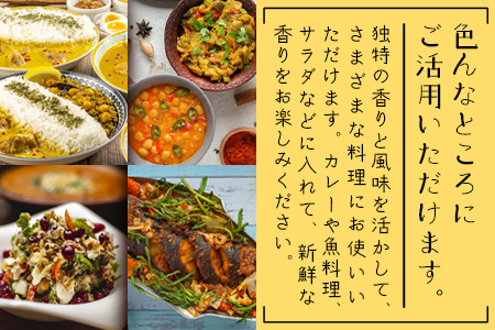 カレーリーフの種　15粒【 沖縄 石垣島 香辛料 種 無農薬 無肥料 】CS-4