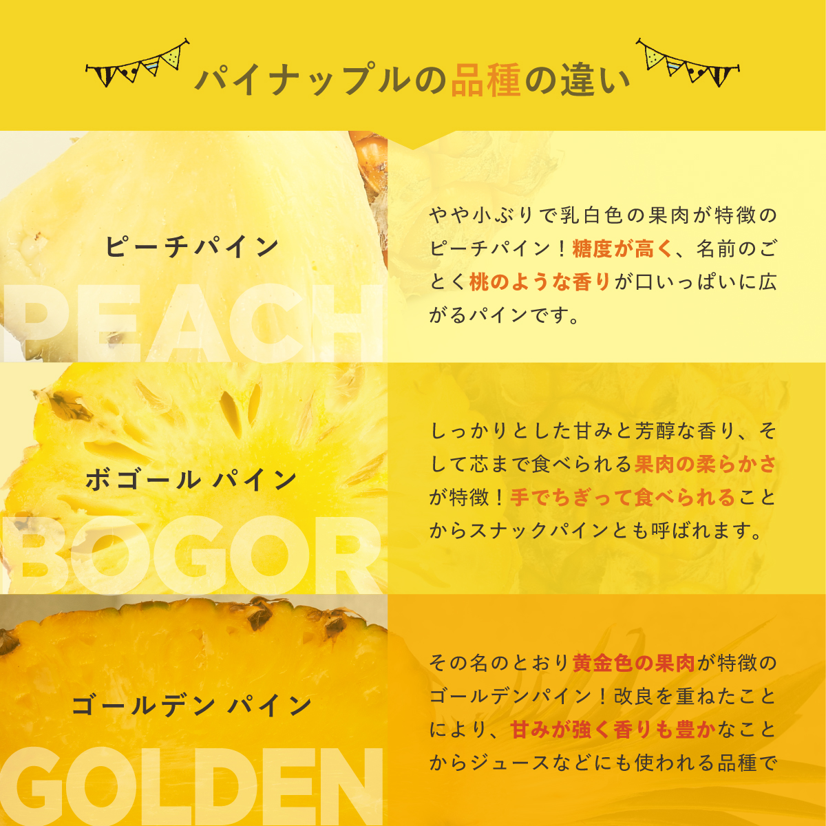 先行予約＜2026年6月より順次発送＞贅沢3種フローズンパイナップル 3パック【 沖縄県 石垣市 果物 パイナップル 冷凍 パイン フローズン 送料無料 】 EF-5