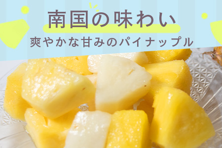 石垣島産パイナップル６回定期便｜青果３回 冷凍３回 沖縄県 石垣市 果物 果物 南国フルーツ パイン KP-8-1