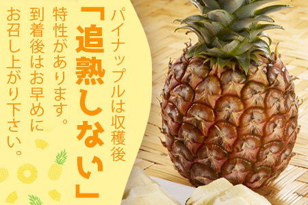 【予約受付】【KABIRAパイナップル2玉1kg以上】♪品種は届いてのお楽しみ♪《2025年5月以降順次発送》MF-1
