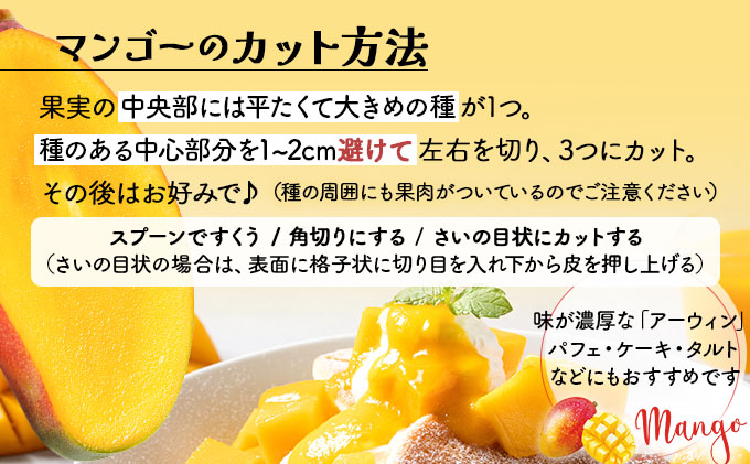 ＜わんのマンゴー＞石垣島産マンゴー【アーウィン】 合計1kg NA-03