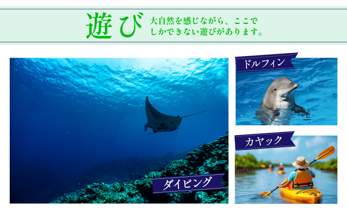 石垣パッケージ旅行補助券(90,000円分) OTI-02