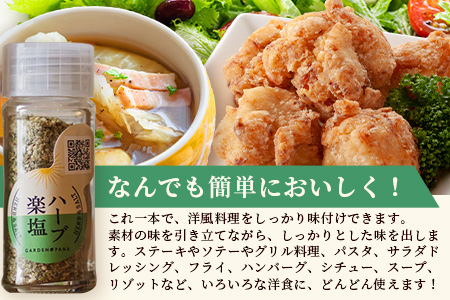 ハーブ楽塩　23g　瓶入×3本【 沖縄県 石垣市 石垣島 調味料 万能 石垣島産 塩 】PN-2