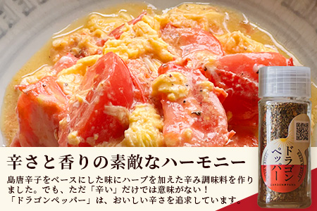 調味料セット チャンプルの素25g＋ハーブ楽塩23g＋ドラゴンペッパー15g　瓶入×3本【 沖縄県 石垣市 石垣島 調味料 万能 石垣島産 セット 】PN-4