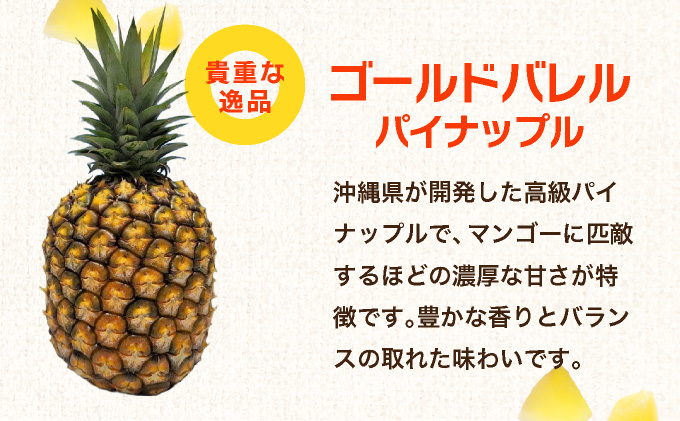 石垣島産フローズンパイナップル3種食べ比べセット  PU-01