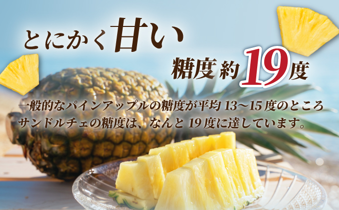 【先行予約】石垣島産 中玉サンドルチェ４玉 合計約3.8kg《2025年夏季 順次発送》SI-108