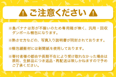 ＜先行予約＞石垣島の島バナナ、1～3房（約1,2～1,5kg前後入り）《4月中旬～順次発送》爽やか酸味のスッキリ系バナナ、少し冷やしてもイイんです！SI-33