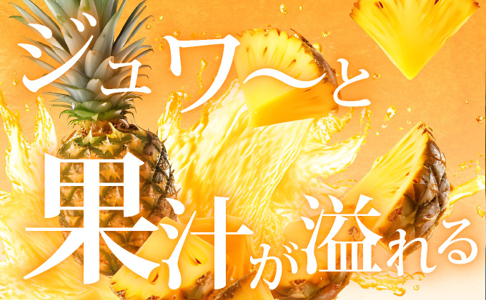 【先行予約】《2025年夏季 順次発送》黄金パイン大玉２個入 計3.0kg SI-51