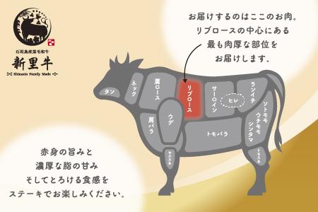 石垣島産 黒毛和牛 新里牛 リブロースステーキ（200g×2）合計400g SZ-29