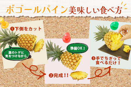 《2026年4月下旬頃より順次発送》【予約受付】石垣島産 ボゴールパイン 3～4玉セット 約3㎏ TD-3