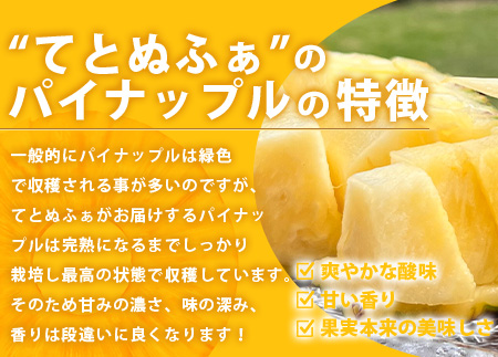 《2026年6月中旬以降発送》島の美味しいを詰め込んだ、パイン＆マンゴーのよくばりセット！【 沖縄県 石垣市 石垣島 完熟 パイン パイナップル スナック マンゴー セット 詰め合わせ 産地直送 】TF-24_R8