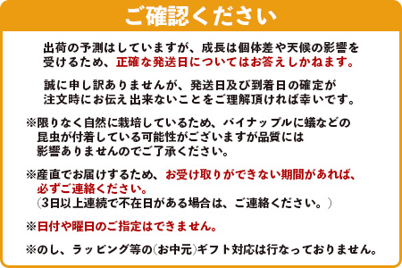 【マツコの知らない世界で絶賛！】《2025年5月以降順次発送》[先行予約] 最高糖度20度！？ 完熟の極 石垣島産幻のパイナップル ホワイトココ2個セット【 沖縄 石垣島 石垣 八重山 パイン パイナップル 期間限定 数量限定 TV テレビ 紹介 マツコ 】TF-2_R7