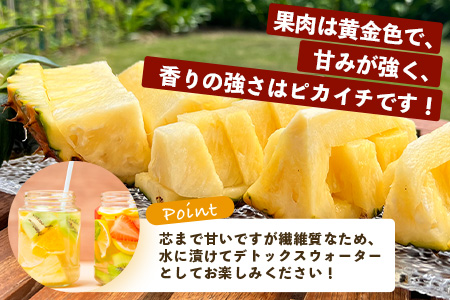 《2025年5月中旬以降順次発送》【先行予約】香りに溺れる！？ 完熟の極 てとの黄金パイン大玉約2kg【 沖縄 石垣 ゴールデン パイン パイナップル 完熟 セット フルーツ デザート 】 TF-31