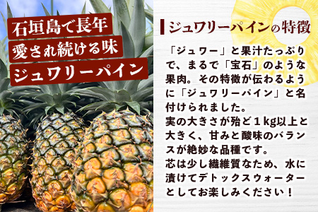 【マツコの知らない世界で絶賛！】《2026年4月～7月順次発送》【先行予約】パイナップル好きにおすすめ！満足のパイナップル3品種定期便【 沖縄 石垣 ピーチ ホワイトココ ジュワリー パイン パイナップル 完熟 セット フルーツ デザート 食べ比べ 定期便 TV テレビ 紹介 マツコ 】 TF-36_R8