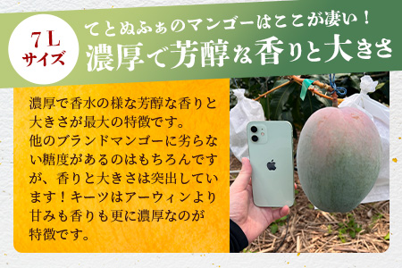 《2025年7月下旬～8月下旬発送》【先行予約】最高糖度23度！？ 完熟の極！7Lサイズ 幻のキーツマンゴー【贈答向け】【 沖縄 石垣島 石垣 八重山 マンゴーキーツマンゴー 期間限定 数量限定 沖縄県 石垣島産 完熟 】TF-4-1