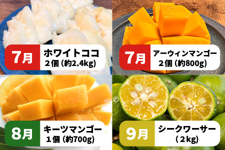  【マツコの知らない世界で絶賛！】《2025年4月以降発送》【先行予約】島のおいしいを贅沢に！大満足のパイナップル4種とマンゴー2種、シークワーサーの定期便【 沖縄 石垣 ピーチ ホワイトココ キーツ マンゴー パイン パイナップル シークワーサー 完熟 セット フルーツ デザート 食べ比べ 定期便 TV テレビ 紹介 マツコ 】 TF-40