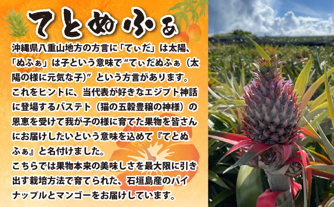 【先行予約2026年5月下旬ころから順次発送】最高糖度20度！？石垣島産完熟ゴールドバレル 2玉 約2.5kg