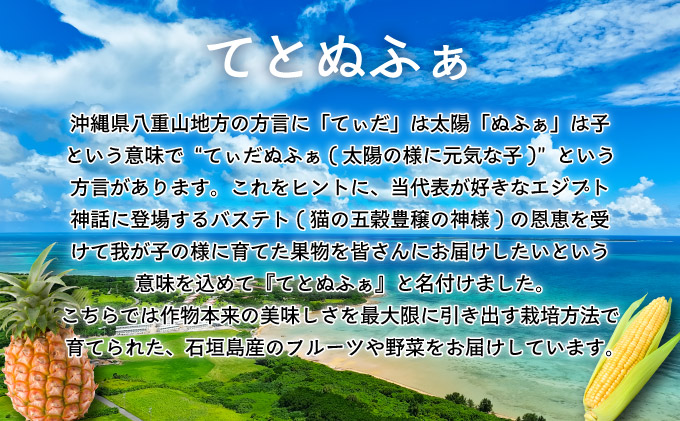 【先行予約2025年1月-5月配送】1番遅くて1番早い_ プレミアムヤングコーンとスイートコーンのよくばり定期便！！朝採れを皮付きのままお届け！！