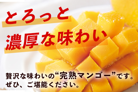 2026年発送分【先行予約】石垣島産《樹齢30年》マンゴー (アーウィン種) 約1kg(2～3玉) 《2026年7月以降より順次発送》石垣さんちの石垣トロピカルファーム TP-1 約1kg（2～3玉）