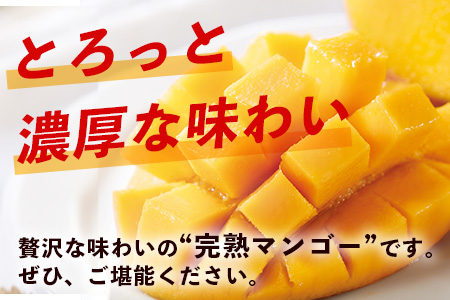 2026年発送分【先行予約】【訳あり】石垣島産 マンゴー (アーウィン種) 9～12玉(箱含め約5kg) 《2026年7月以降より順次発送》《樹齢30年の木で育ったマンゴー》｜産地直送 沖縄 石垣島 マンゴー アーウィン マンゴー フルーツ TP-3 【訳あり】約5kg（9～12玉）