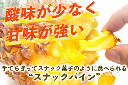 【先行予約】《2026年5月上旬頃より順次発送》石垣島産 スナックパイン (3玉 約3kg)【 産地直送 沖縄 石垣 パイナップル フルーツ 】TP-7-1 3玉（約3kg）