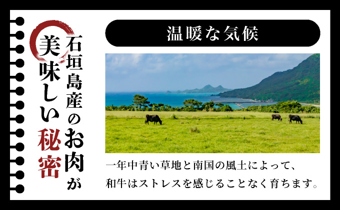 極厚!!肉汁溢れる 石垣島産《黒毛和牛100%》俵ハンバーグ 180g×4個 |和牛 牛肉 冷凍 ハンバーグ 人気 おすすめ 国産 国産牛 小分け 八重山食肉センター YC-8