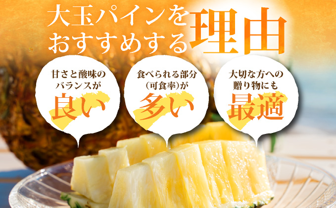 【先行予約】《2025年夏季 順次発送》石垣島産・スナックパイン、ずっしりの「大玉」3個入り SI-26-1